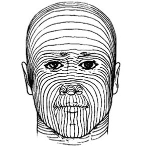 Langer lines illustration